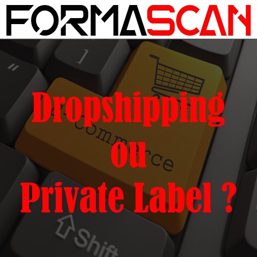 Dropshipping & Private Label