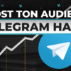 audience-telegram